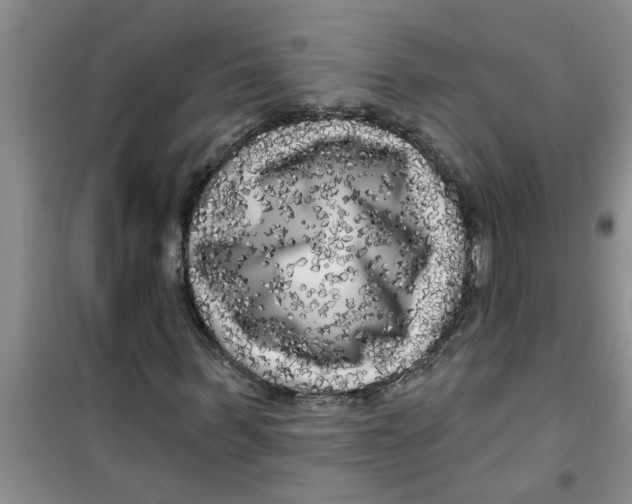 X0000100970963200807221205