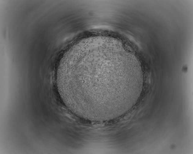 X0000100970965200807221205
