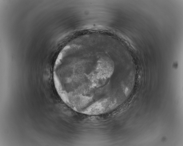 X0000100970966200807221205