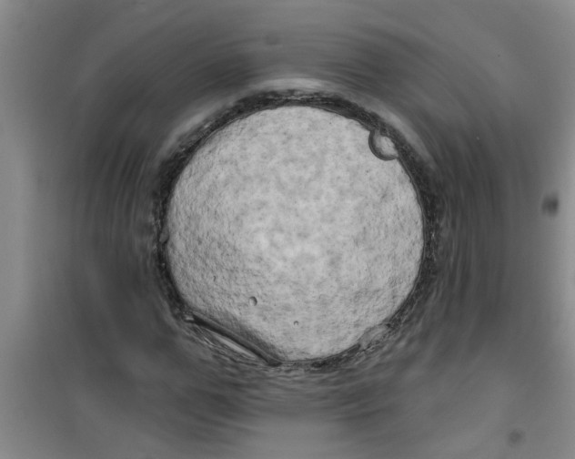 X0000100970967200807221205