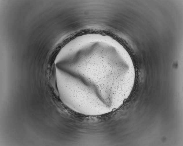 X0000100970968200807221205