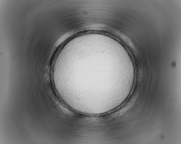 X0000100970970200807221205