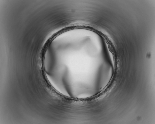 X0000100970973200807221205