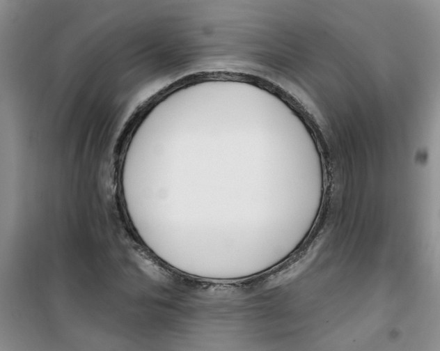 X0000100970974200807221205