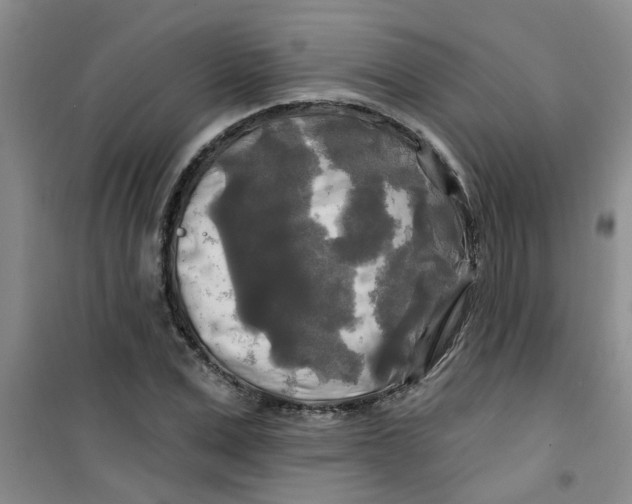 X0000100970975200807221205