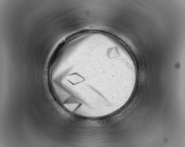 X0000100970976200807221205