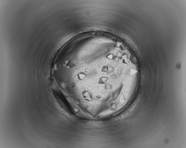 X0000100970977200807221205