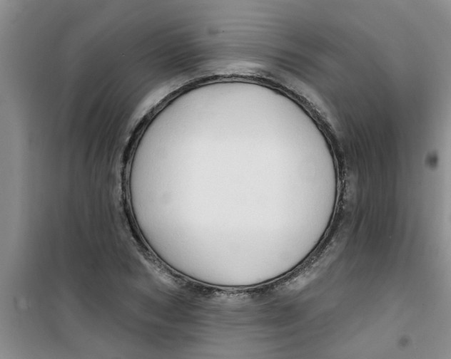 X0000100970978200807221205