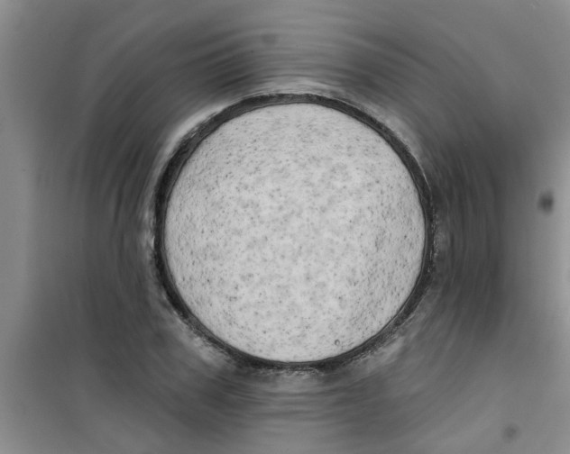 X0000100970979200807221205