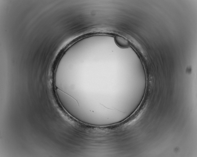 X0000100970981200807221205