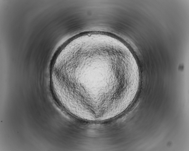 X0000100970982200807221205