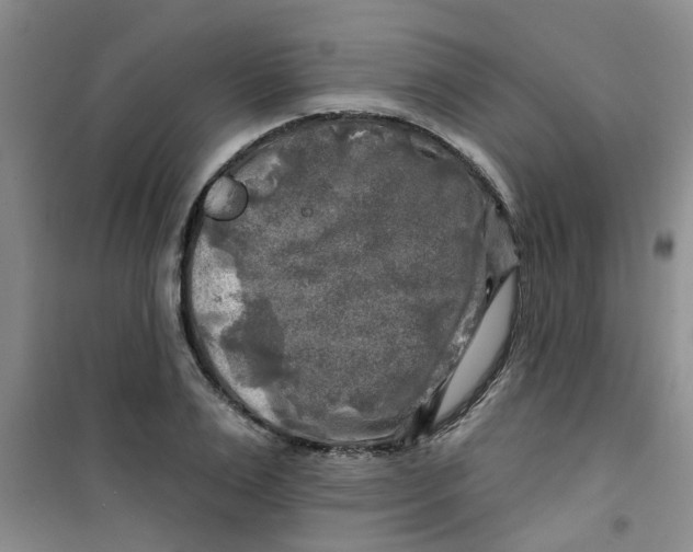 X0000100970983200807221205
