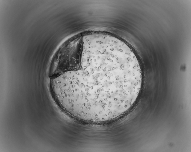 X0000100970984200807221205