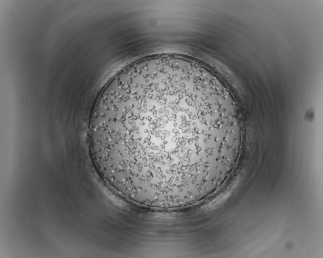X0000100970985200807221205