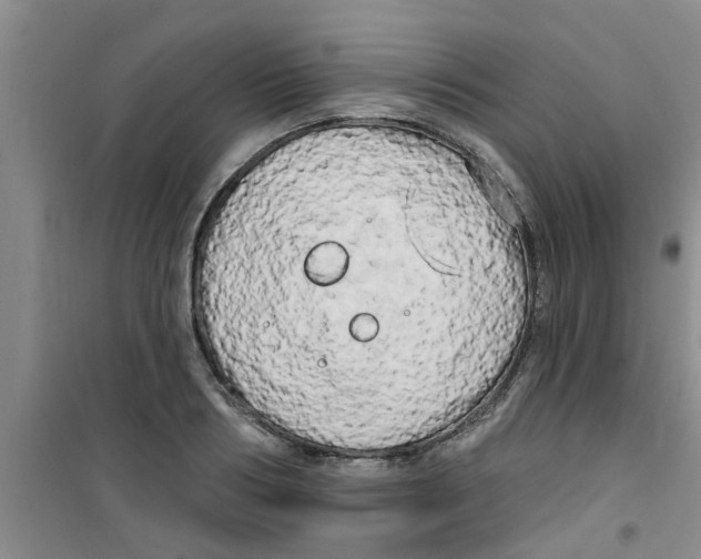 X0000100970986200807221205