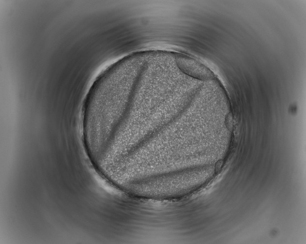 X0000100970987200807221205