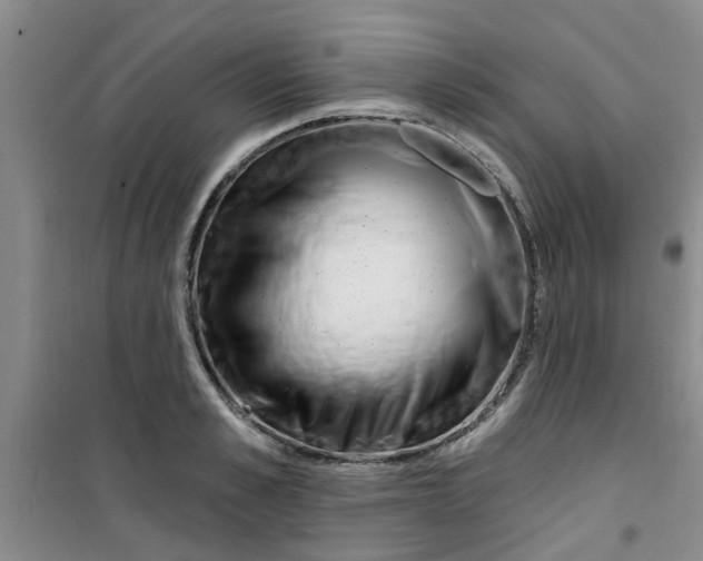 X0000100970989200807221205