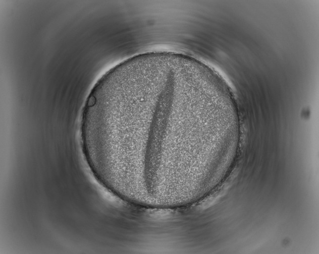 X0000100970991200807221205