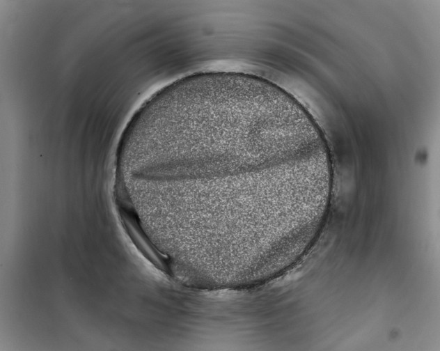 X0000100970992200807221205