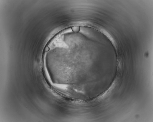 X0000100970994200807221205