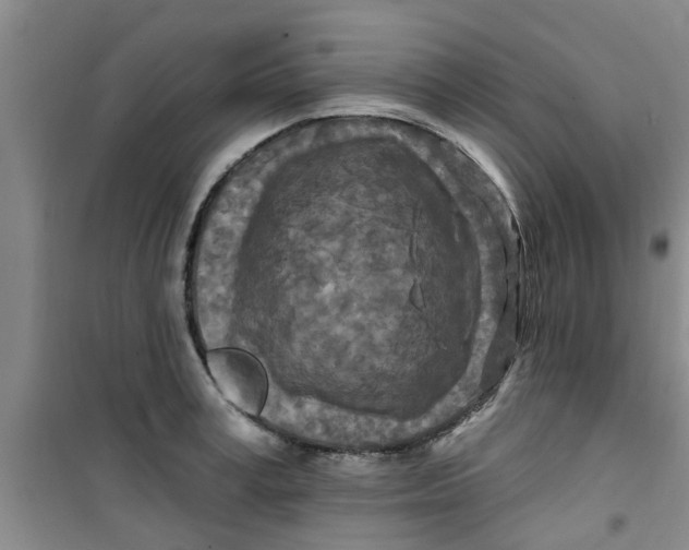 X0000100970995200807221205