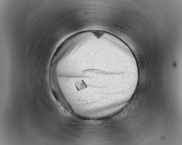 X0000100970996200807221205