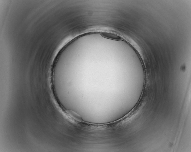 X0000100970997200807221205