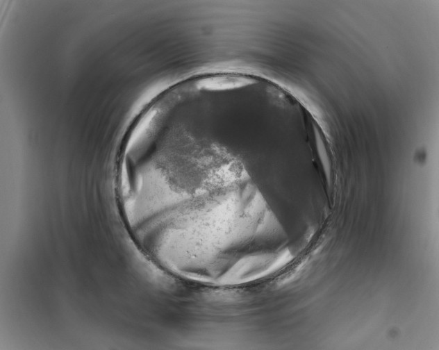 X0000100970998200807221205