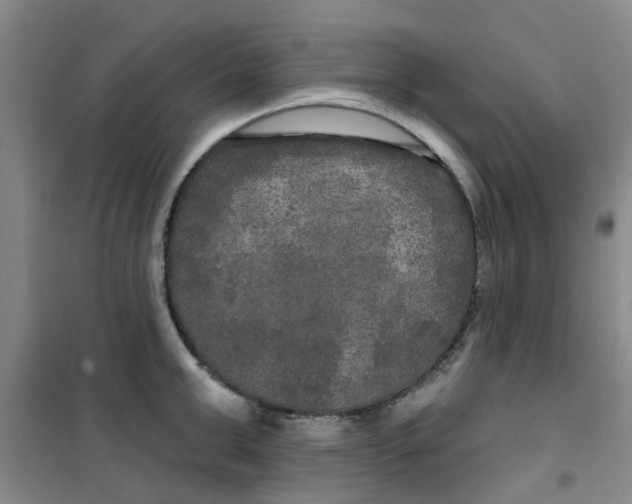 X0000100970999200807221205