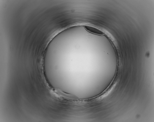 X0000100971001200807221205