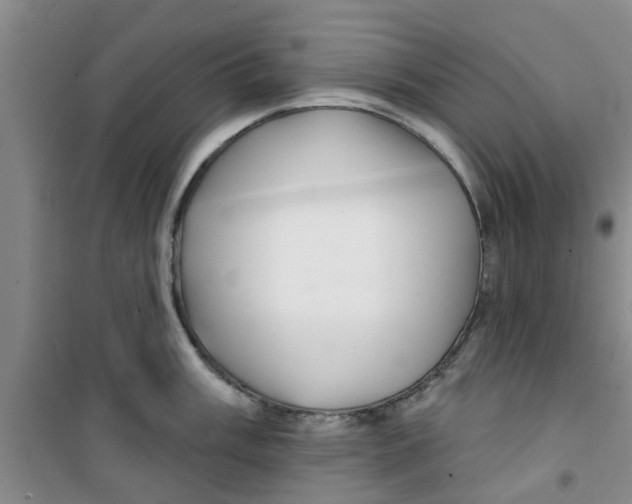 X0000100971003200807221205