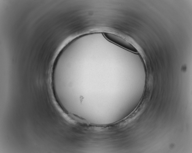 X0000100971005200807221205
