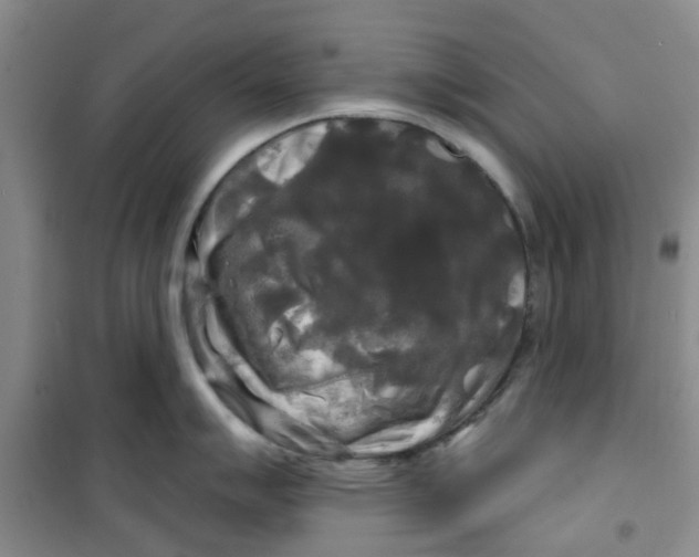 X0000100971007200807221205