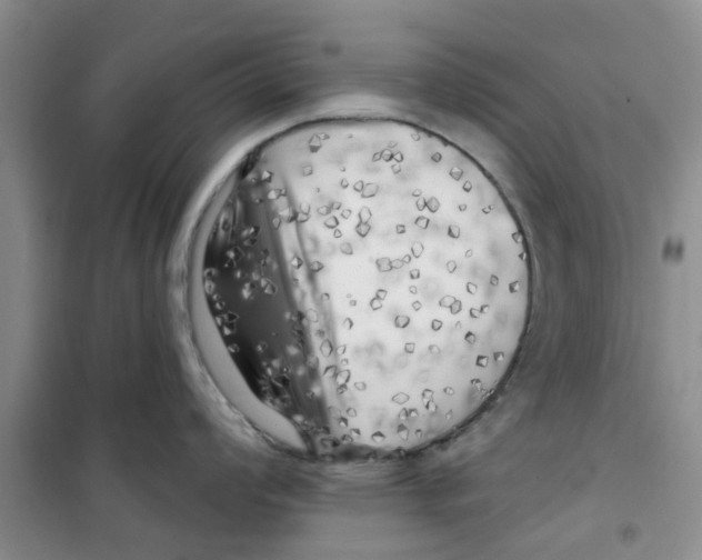 X0000100971008200807221205