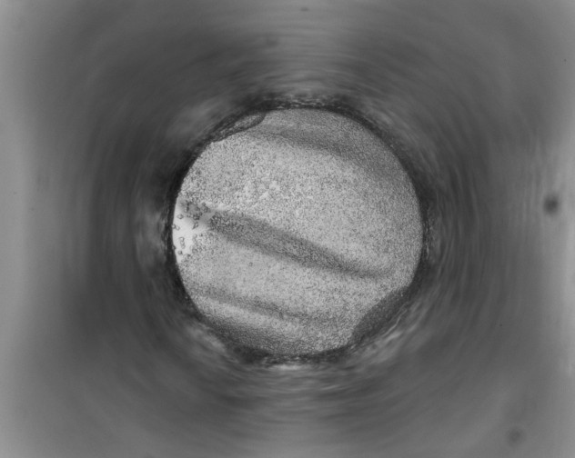X0000100971010200807221204