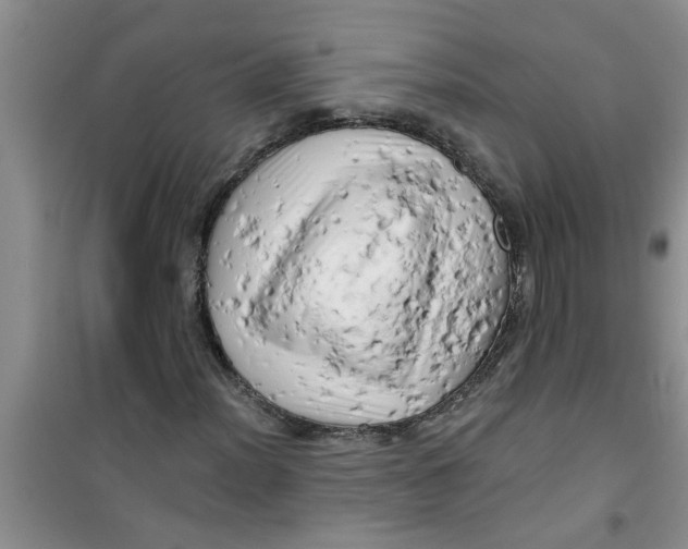 X0000100971012200807221204