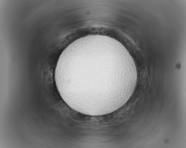 X0000100971013200807221204