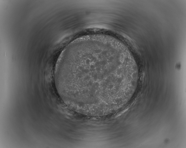 X0000100971014200807221204