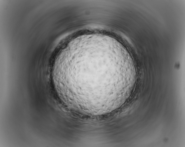 X0000100971016200807221204