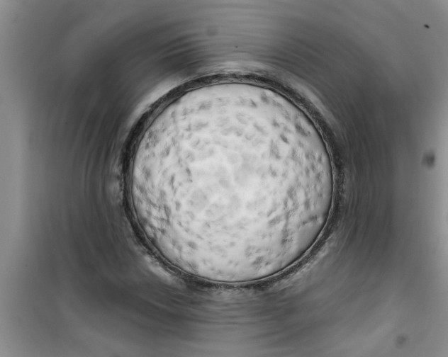 X0000100971018200807221204