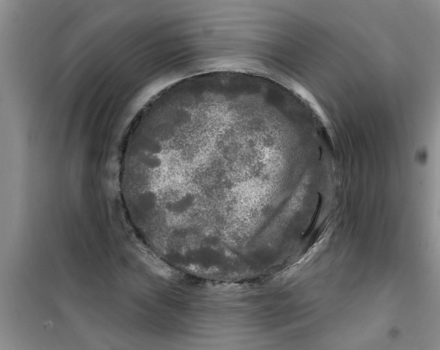 X0000100971019200807221204