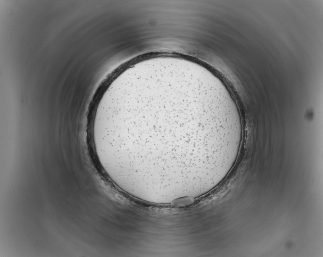 X0000100971020200807221204