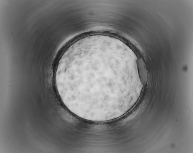 X0000100971021200807221204