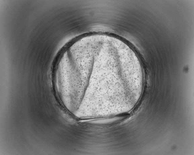 X0000100971022200807221204