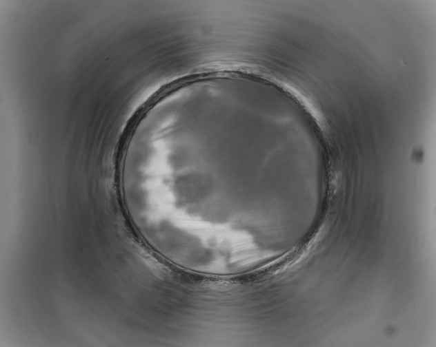 X0000100971023200807221204