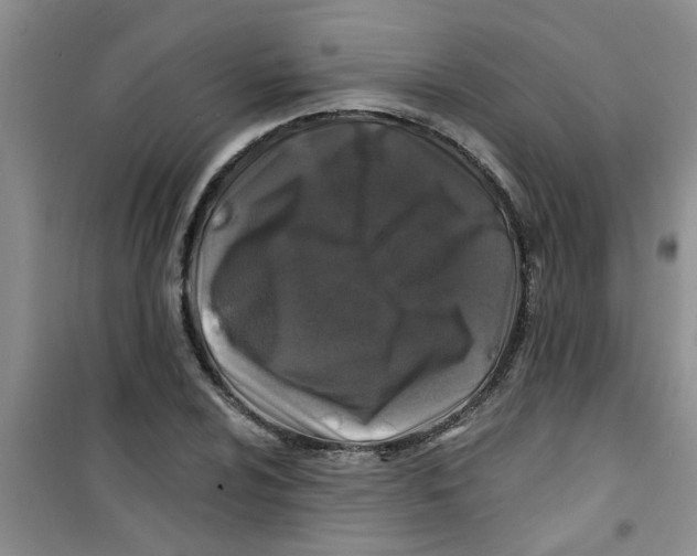 X0000100971024200807221204