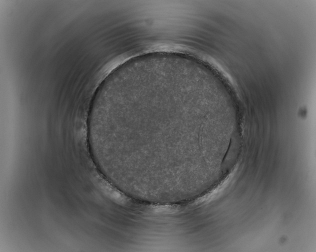 X0000100971025200807221204