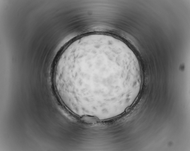 X0000100971026200807221204