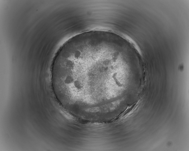 X0000100971027200807221204
