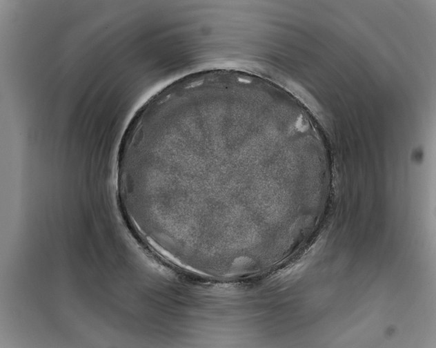 X0000100971028200807221204